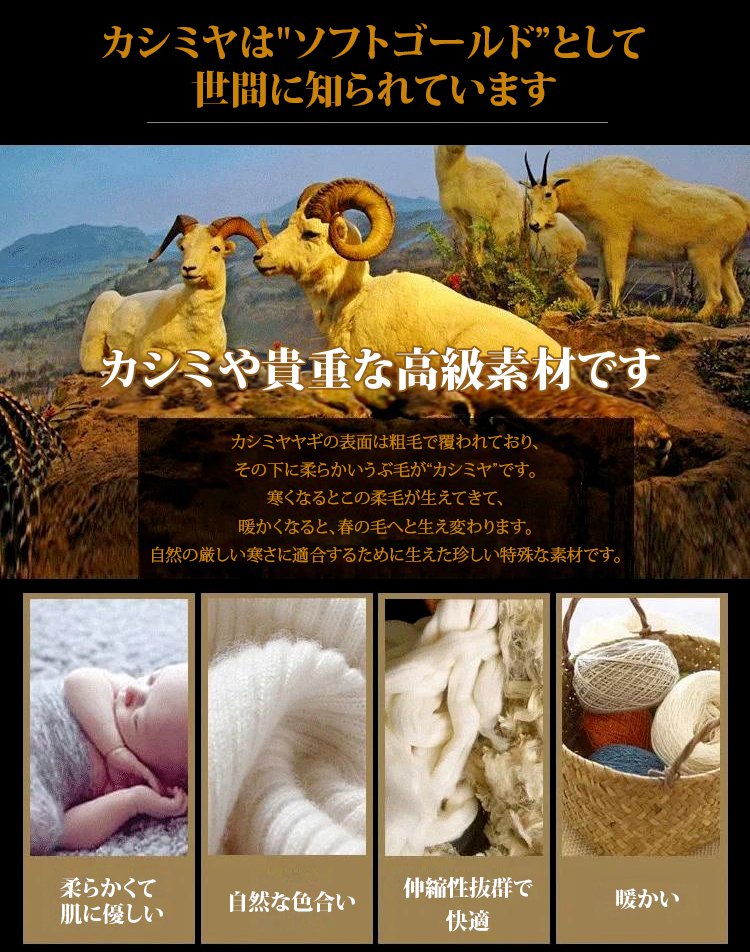 index01 (11).jpg