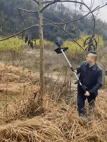 [Full Copper Motor] Tragbarer Handrasenmäher