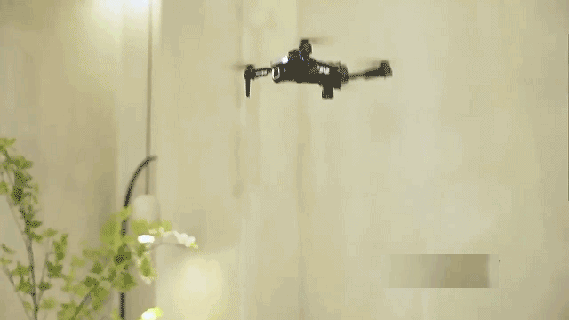 044ffd7b88ab82a378fa94dd46859bb6.gif