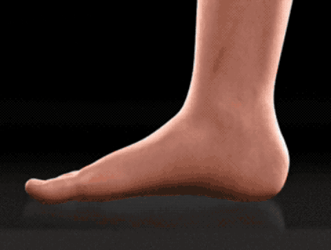 6b7c175a36558da1d9eda4c943dc47e7.gif