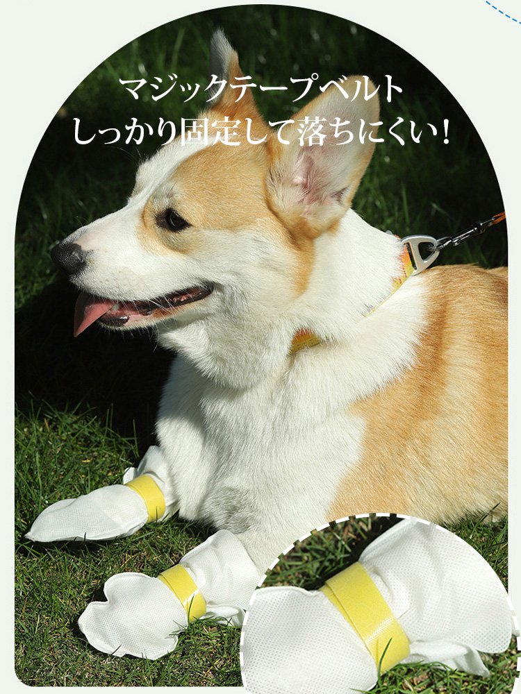 使い捨てペットシューズ