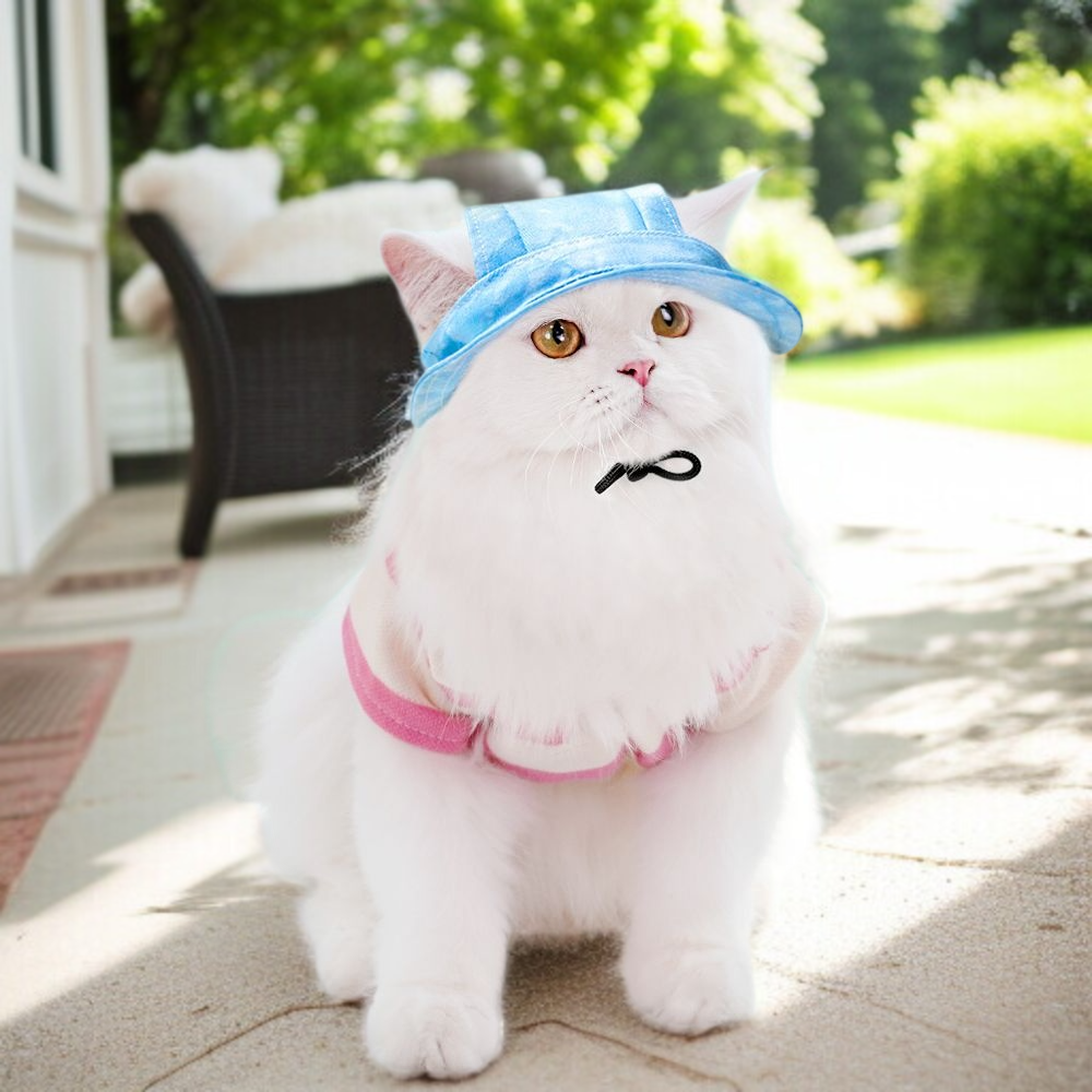 おしゃれな流域の帽子 綿素材で快適