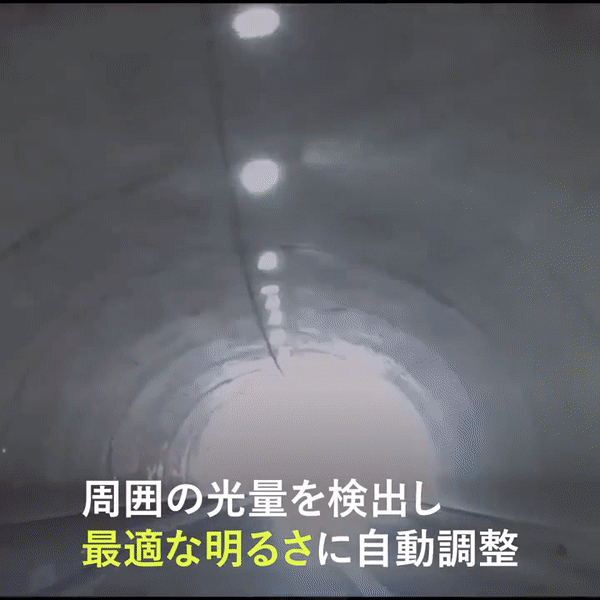 サイクリング用偏光サングラス