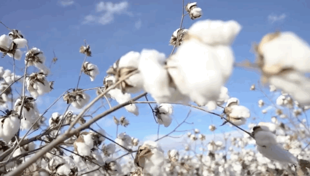 17aea31692bb3239d4c97c65dcca1791.gif