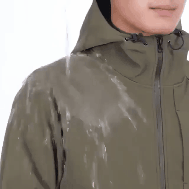 0_20.gif