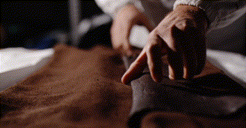 详情_13.gif