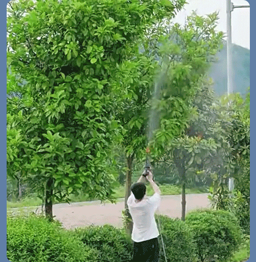 英语_08.gif