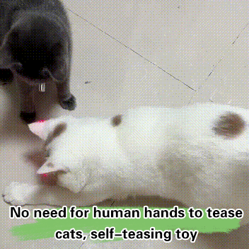 Automatic cat teaser collar