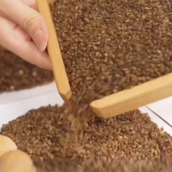 序列 15_5[00-00-00--00-00-02].gif