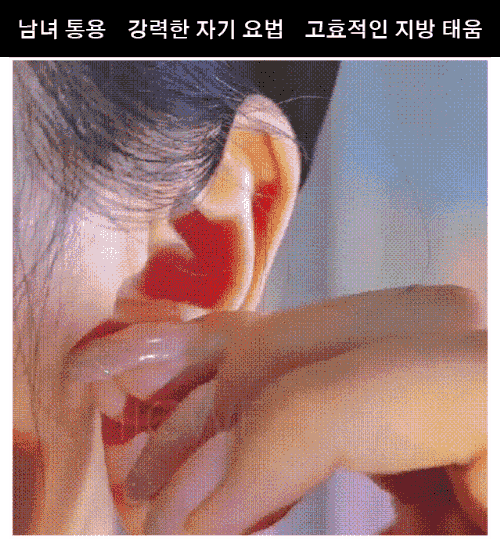 규빅 자기 흡인 살빼기 귀걸이