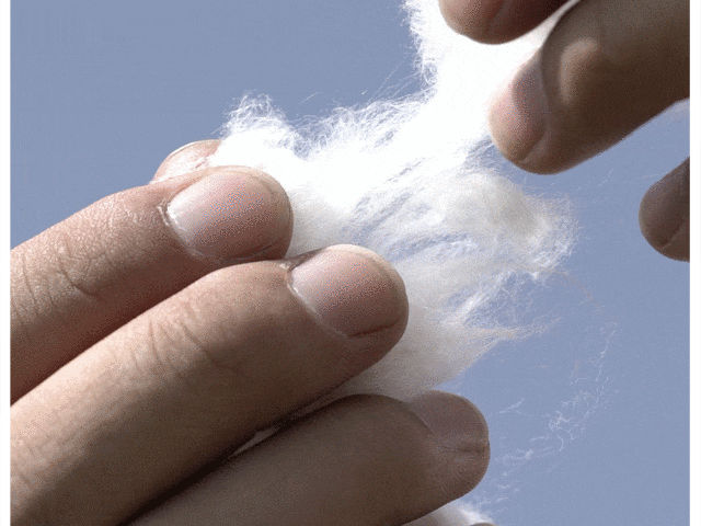 187211e33fc62da879453181a75c1a7c.gif