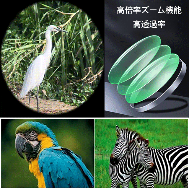 二重焦点単眼鏡