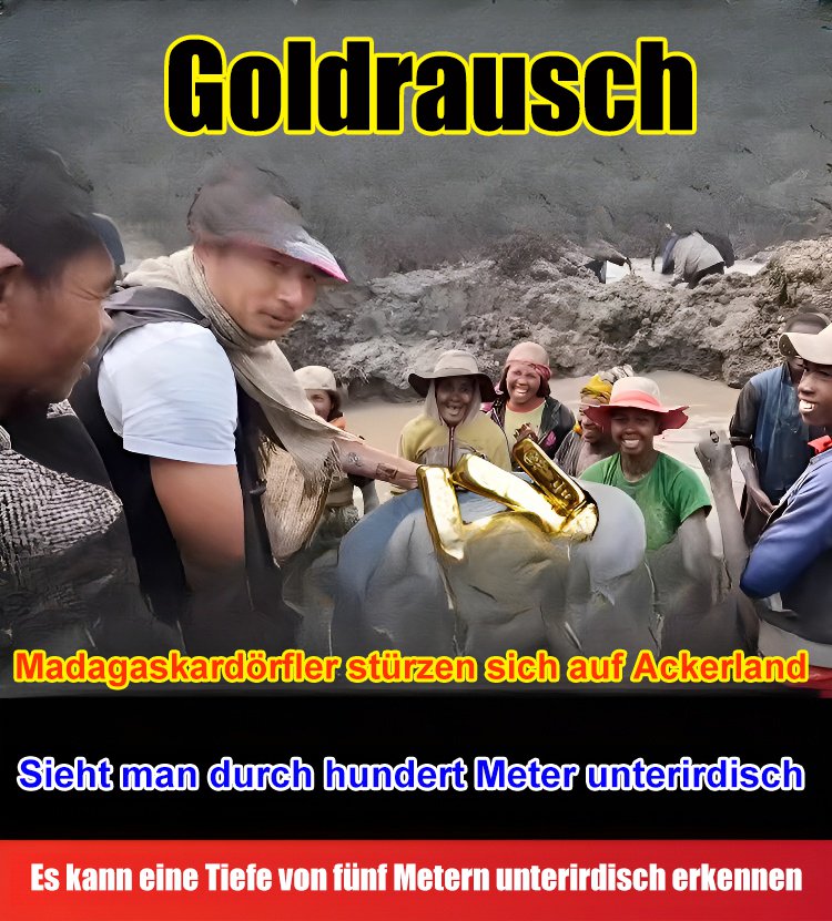 Hochempfindlicher Metalldetektor