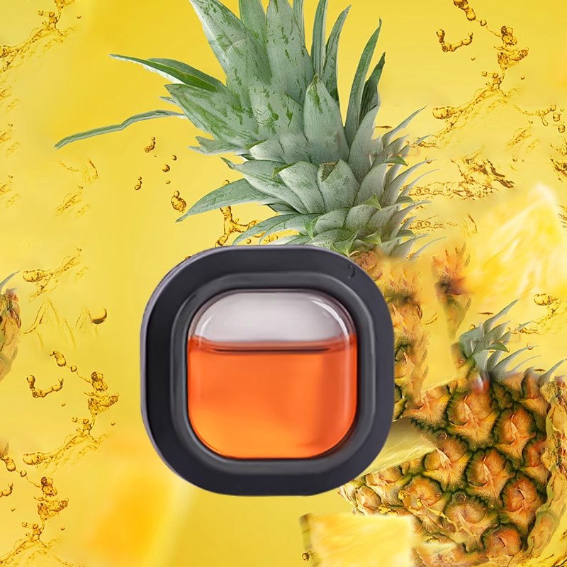 고급 차량용 유혹 방향제