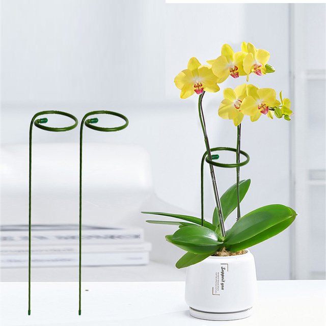 Növény virágtámogatás