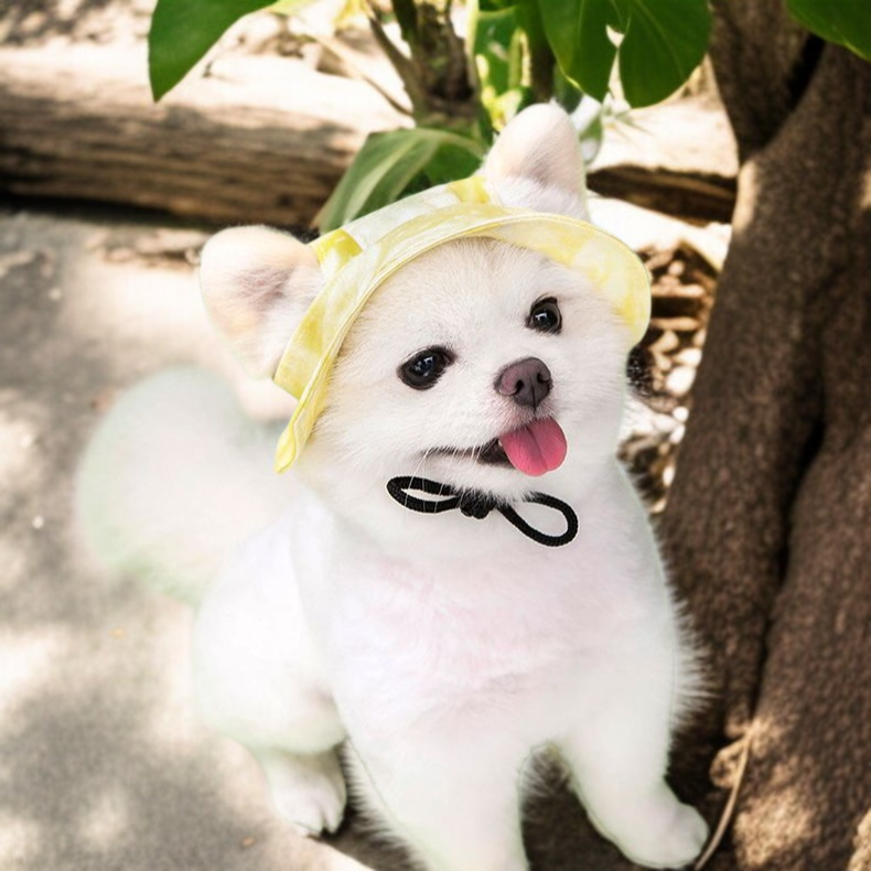 調節可能な王女の帽子 耳絞め防止機能付き