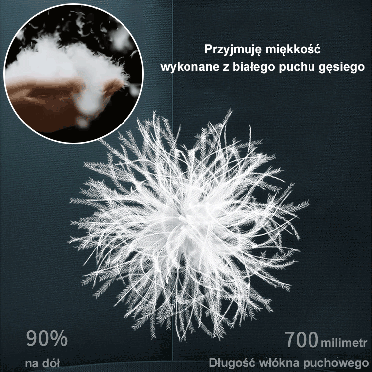 Bawełniana kurtka ze stójką, garnitur do spodni, garnitur na co dzień