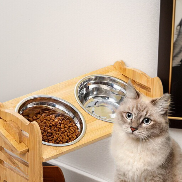 반려동물용 현대적 디자인 식탁