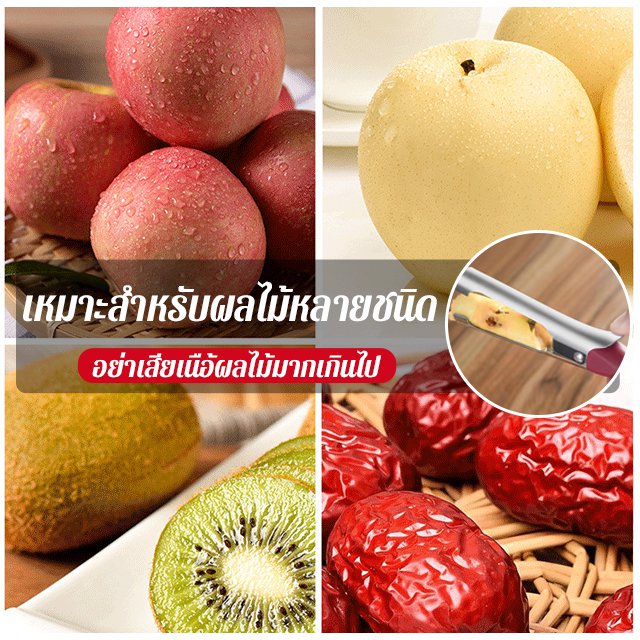 อุปกรณ์สแตนเลสเจาะแกนผลไม้