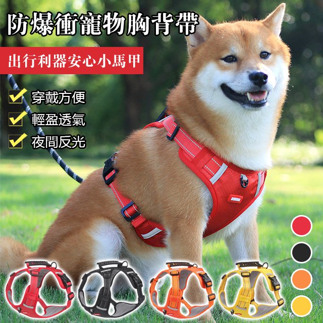 防爆沖寵物胸背帶