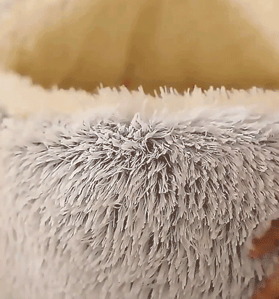 宠物窝_20.gif