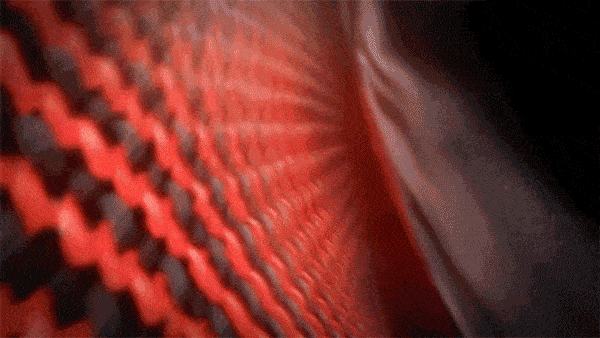 未标题-1_11.gif