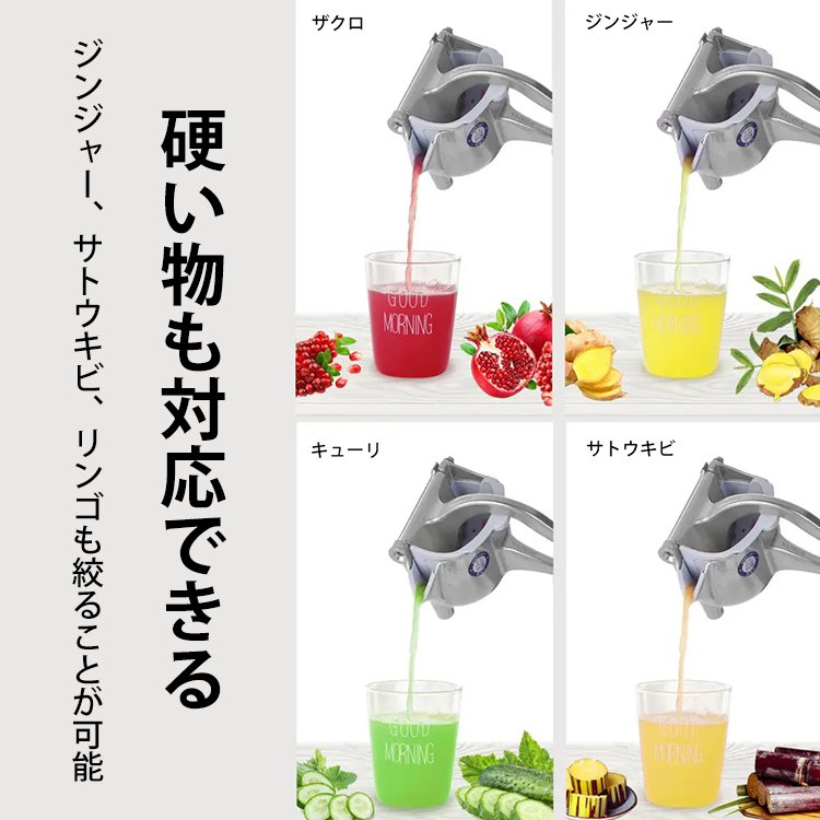 家庭用手動式ジュースプレス