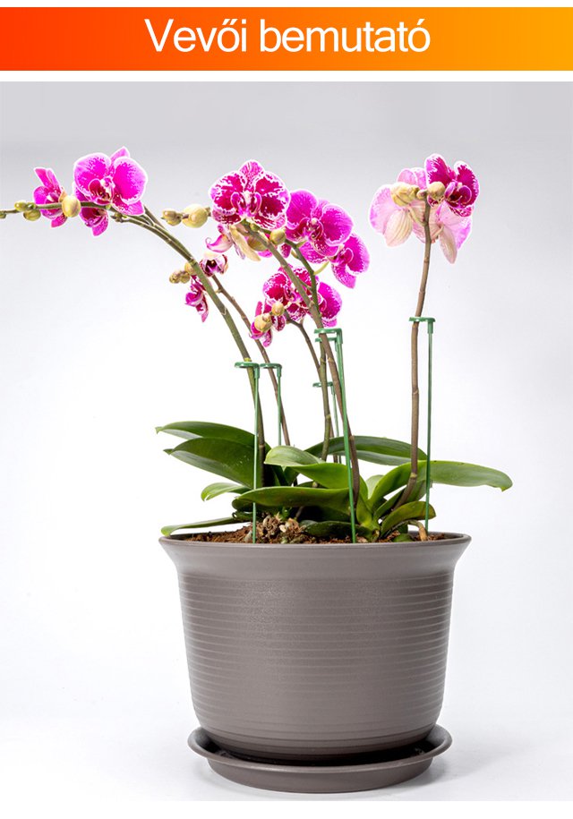 Könnyen telepíthető növénytámasz virágágyásban