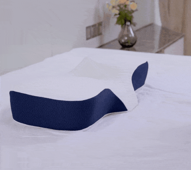 b4ae737cc1d9c1d5bef0ac6507346884.gif