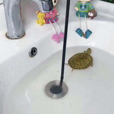 Four-claw household sewer unclogger